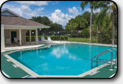 Briarwood's Large Pool