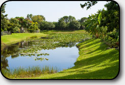 Briarwood Lakes