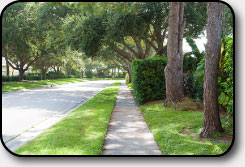 Briarwood Landscapes